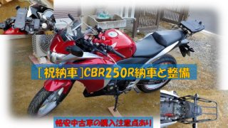 どっちが得 125ccと250cc維持費比較 自由に生きる